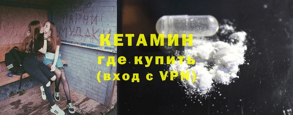 стаф Дмитровск