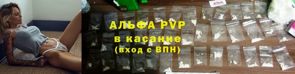 стаф Дмитровск