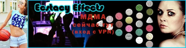 стаф Дмитровск