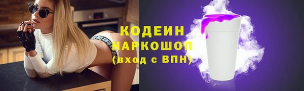 стаф Дмитровск
