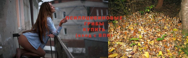 стаф Дмитровск