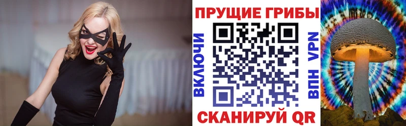 Псилоцибиновые грибы Magic Shrooms Свирск