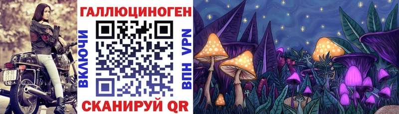 Псилоцибиновые грибы Psilocybe  Купить закладки  Свирск 
