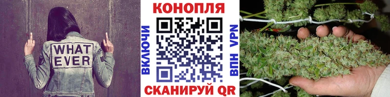 Бошки марихуана MAZAR  Купить где  Свирск 